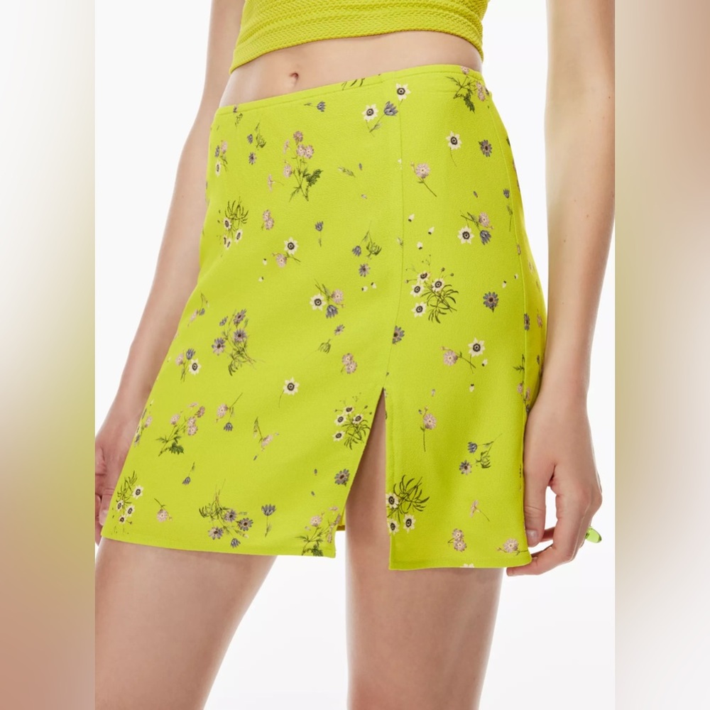 Aritzia Sunday Best Tatiana Skirt